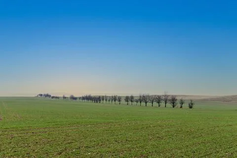 Rural area with fields Stock Photos