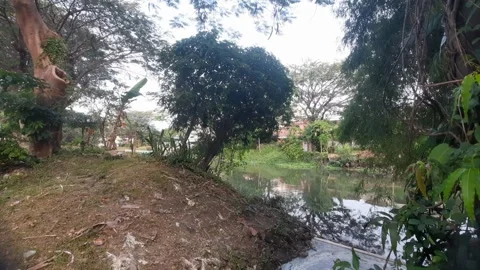 Rural Area 스톡 동영상 339074315