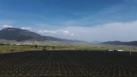 Rural area vineyard between mountains and highway Coahuila Mexico panoramic.. Stock Footage 274171693