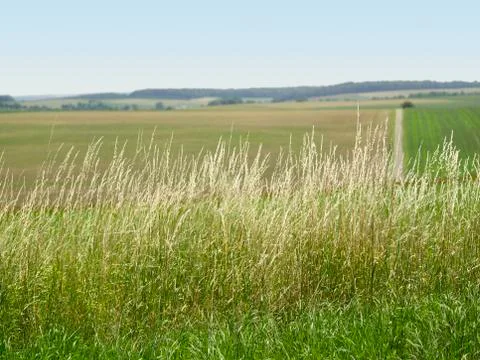Rural back Stock Photos