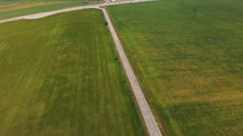 Rural Backroad Surrounded by Green Wheat Fields Stock Footage 130690233