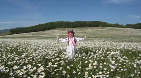 Rural beauty Video stock 16865662