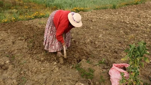 Rural Bolivia Stock Footage 96071269