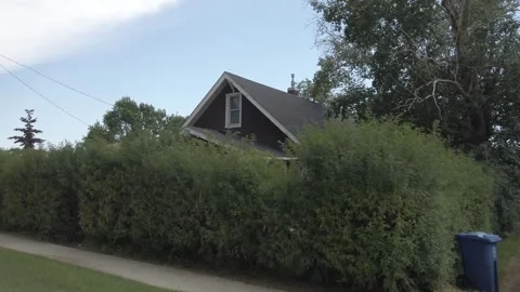 Rural Canada 스톡 동영상 257250897