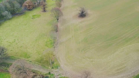 Rural Charm from Above: Drone's Flight Over Tree-Lined Path to Barn and Coz.. Stock Footage 269852301