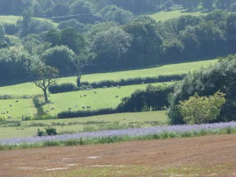 Rural Colour Stock Photos