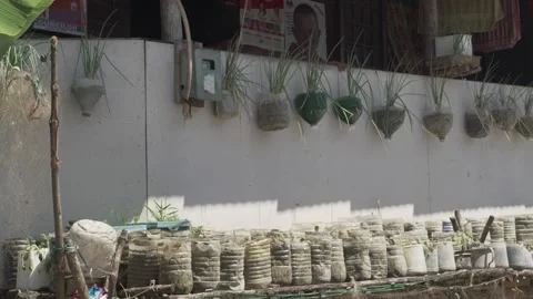 Rural Community in Samar, Philippines Stock Footage 229663661