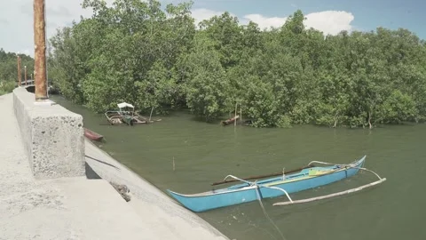 Rural Community in Samar, Philippines Stock Footage 229663724