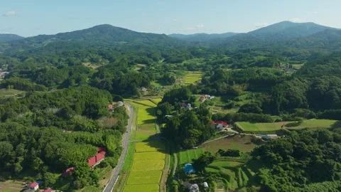 Rural Countryside Landscape With Rice Fields And Lush Forests In Japan - Drone Stock Footage 336989802