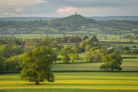 Rural countryside of the Somerset Levels in summer near Glastonbury Tor, Stock Photos