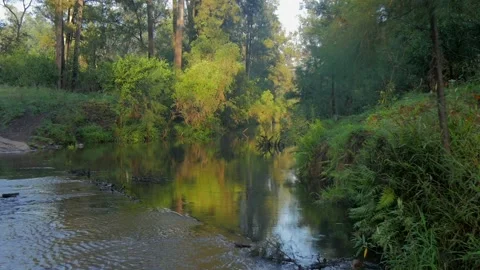 Rural Creek Stockbeeldmateriaal 168388609
