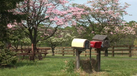 Rural delivery Stock Footage 98297