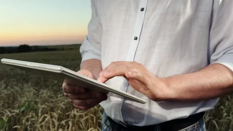 Rural digital transformation, Farmer checking field data, Sustainable Stock Footage 313906437