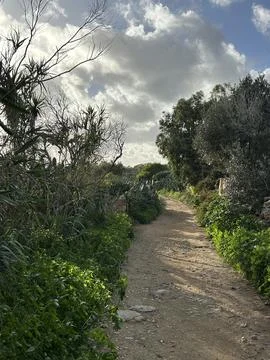 Rural Dirt Path Through Green Vegetation and Trees in Malta. Stock Photos