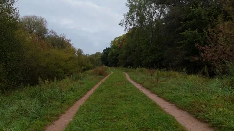 Rural Dirt Road Between Trees in Autumn Stock Footage 318471804