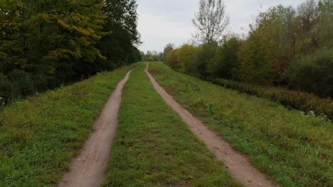 Rural Dirt Road Between Trees in Autumn Stock Footage 318472563