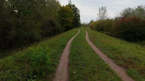 Rural Dirt Road Between Trees in Autumn Stock Footage 318472589