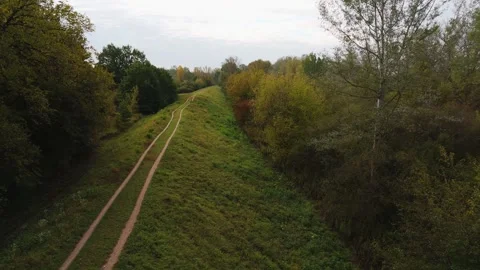 Rural Dirt Road Between Trees in Autumn Stock Footage 318473129
