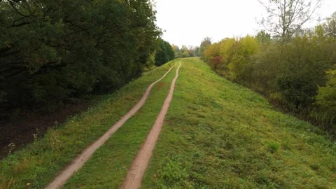 Rural Dirt Road Between Trees in Autumn Stock Footage 318473679