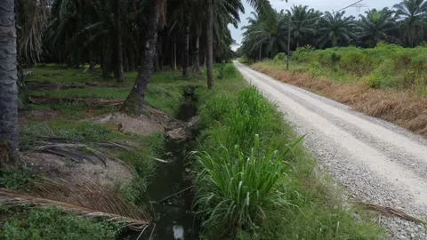Rural drainage system 库存影片 200095274