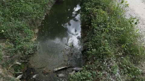 Rural drainage system 库存影片 200095382