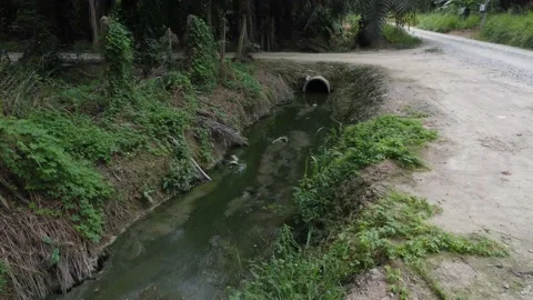 Rural drainage system 库存影片 200095743