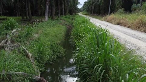 Rural drainage system 库存影片 200096831