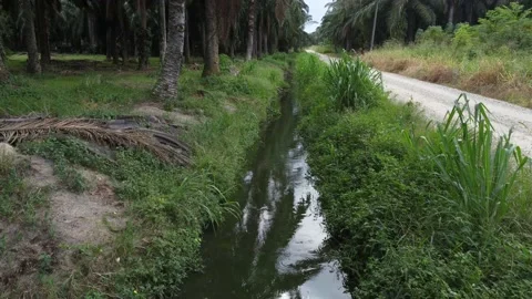 Rural drainage system 库存影片 200096880