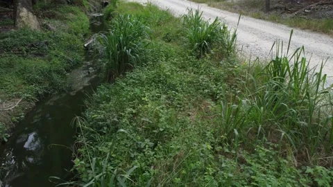 Rural drainage system 库存影片 200097881