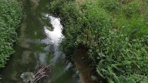 Rural drainage system 库存影片 200097884