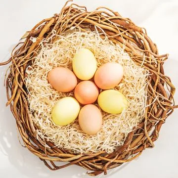 Rural Easter composition with colorful eggs in the nest Foto stock
