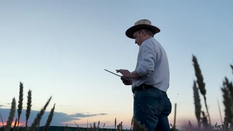 Rural ecosystem benefiting from digitization, How cloud computing is Stock Footage 314290211