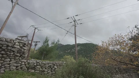 Rural electricity network with cables and poles in woodland Stock Footage 338107014