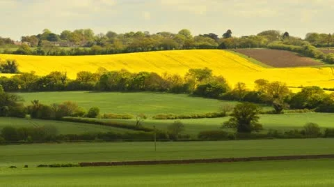 Rural England timelapse Video stock 11061234