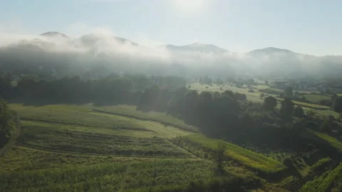 Rural Environment Video stock 150195253