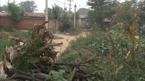 Rural environment Stock Footage 235278146