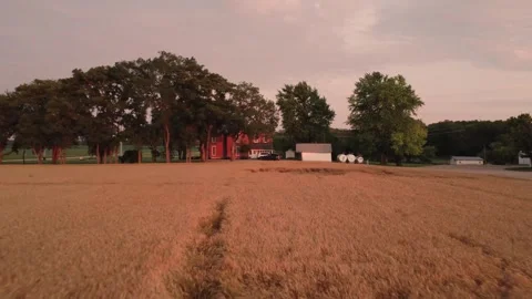 Rural farm 스톡 동영상 312081809