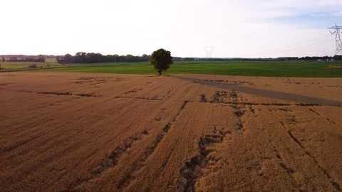 Rural farm land 스톡 동영상 312082004