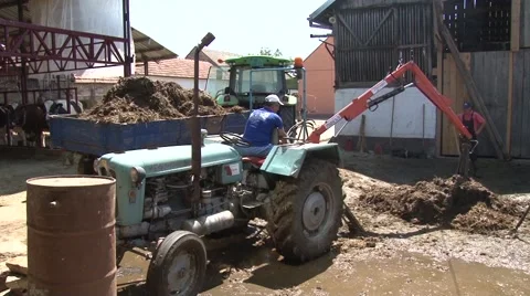Rural farm - loading manure Vídeo Stock 56513078