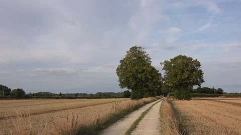 A rural farm path shaded by trees Stock Footage 319409984