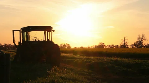 Rural Farm Tractor Sunset Video stock 28803482