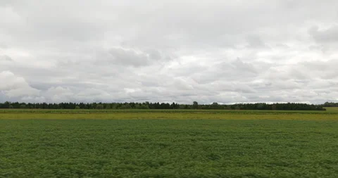 Rural Field Side View with Lateral Traveling, Car Window Plate Shot Video stock 327327556