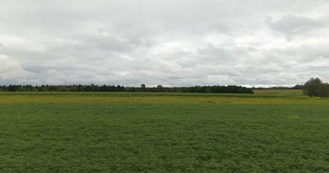 Rural Field Side View with Lateral Traveling, Car Window Plate Shot - 2 Video stock 327329588