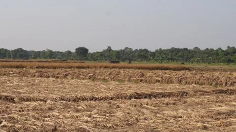 Rural Field with Solar Panel Structure Stock Footage 326161918