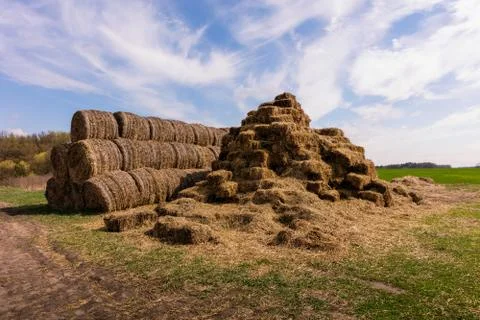 Rural field in spring Stock Photos
