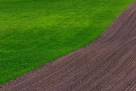 Rural field in spring Stock Photos