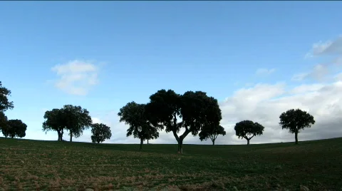 Rural field time lapse Stock Footage 338595