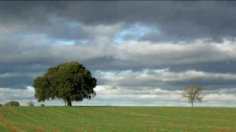 Rural field time lapse Stock-Footage 342071