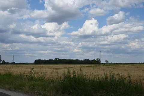 Rural field under cloudy sky 库存照片