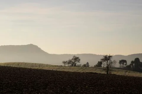 Rural fields in the countryside Stock Photos